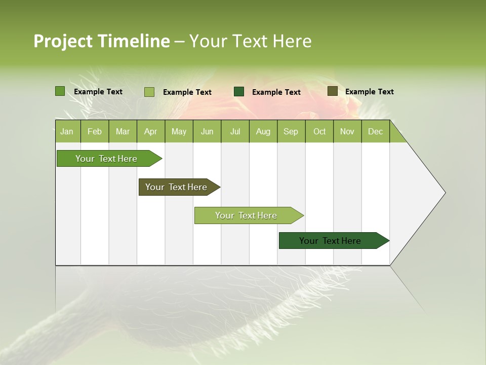 Sunlight Hairy Horticulture PowerPoint Template