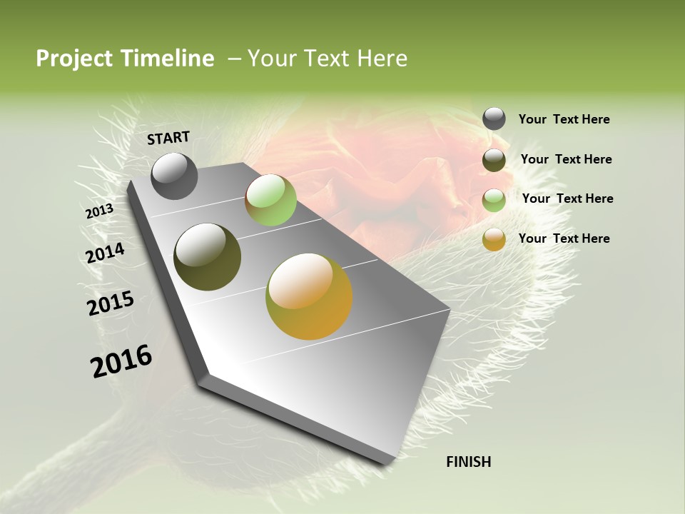 Sunlight Hairy Horticulture PowerPoint Template