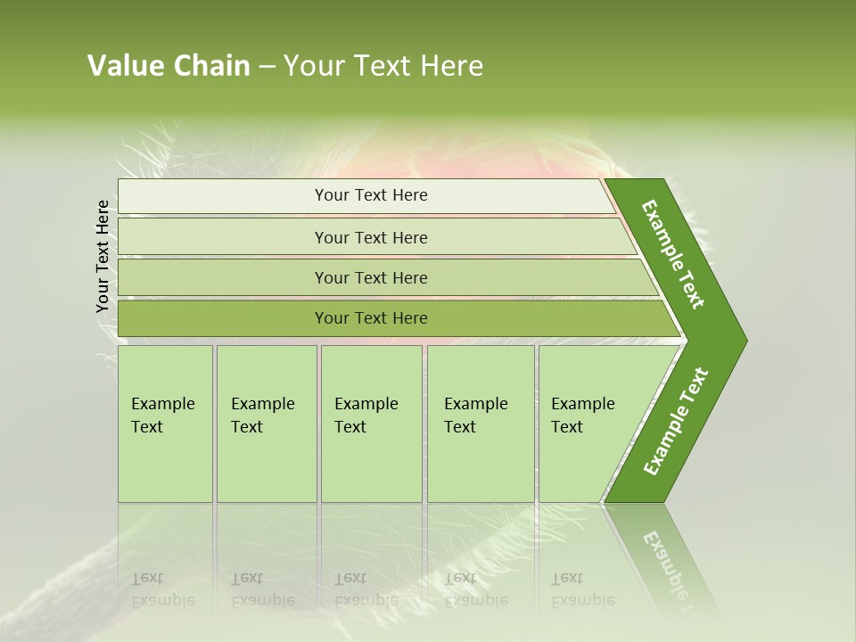 Sunlight Hairy Horticulture PowerPoint Template