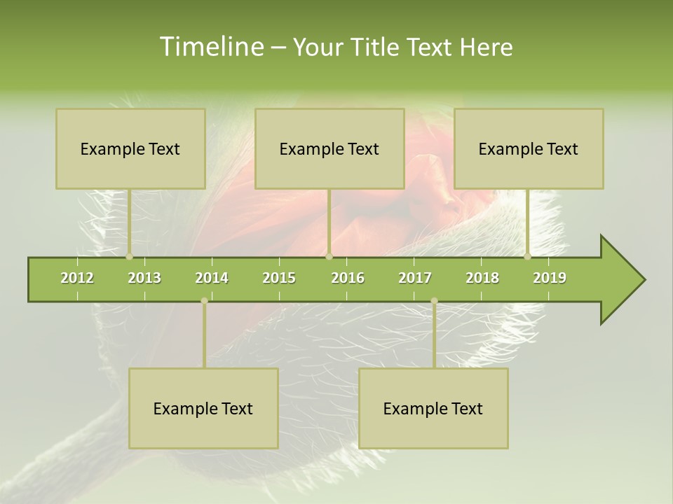 Sunlight Hairy Horticulture PowerPoint Template