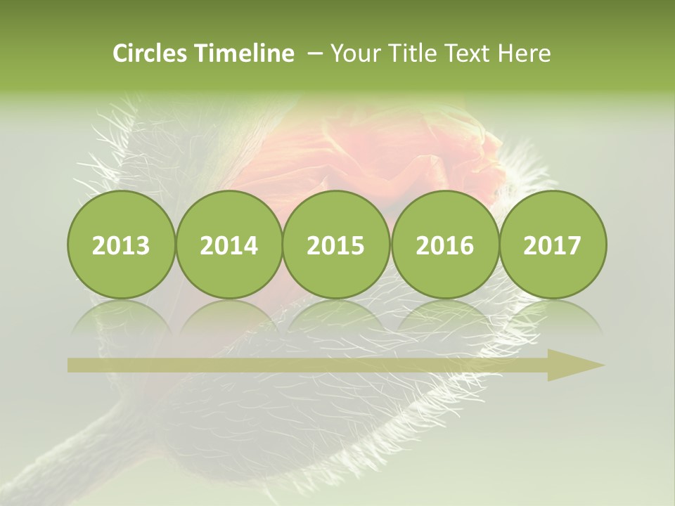 Sunlight Hairy Horticulture PowerPoint Template