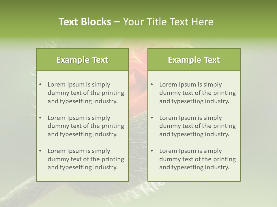 Sunlight Hairy Horticulture PowerPoint Template