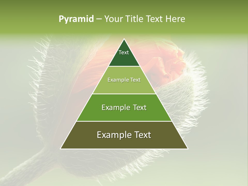 Sunlight Hairy Horticulture PowerPoint Template