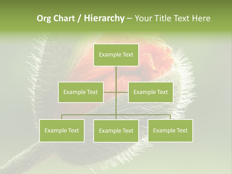 Sunlight Hairy Horticulture PowerPoint Template
