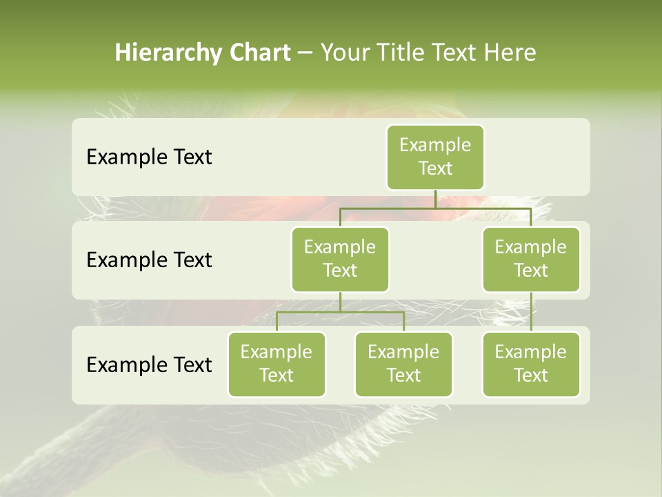 Sunlight Hairy Horticulture PowerPoint Template