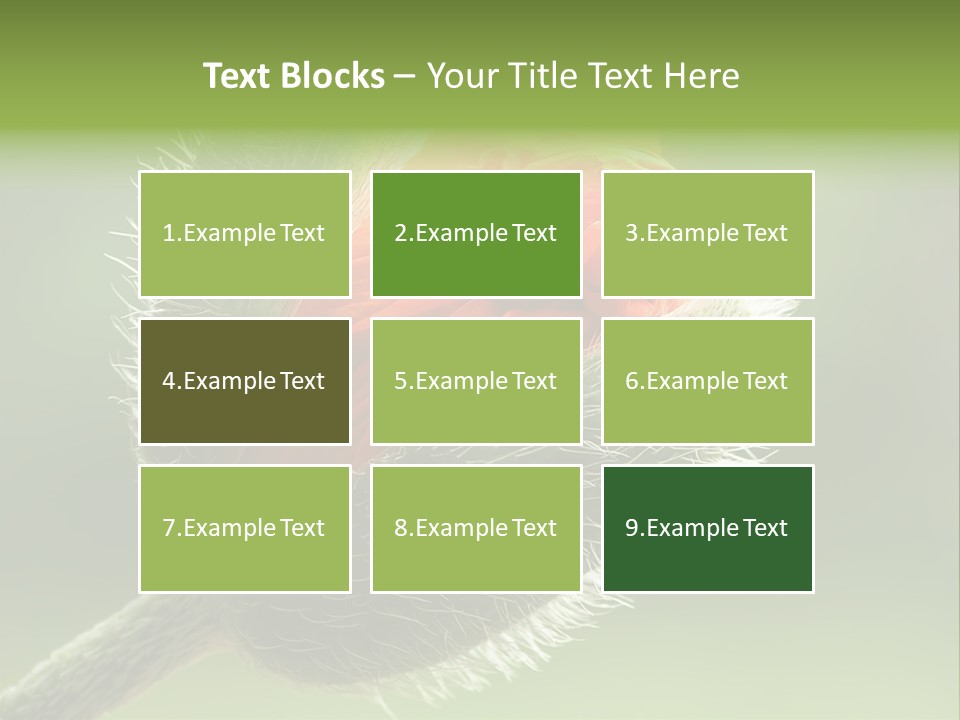 Sunlight Hairy Horticulture PowerPoint Template