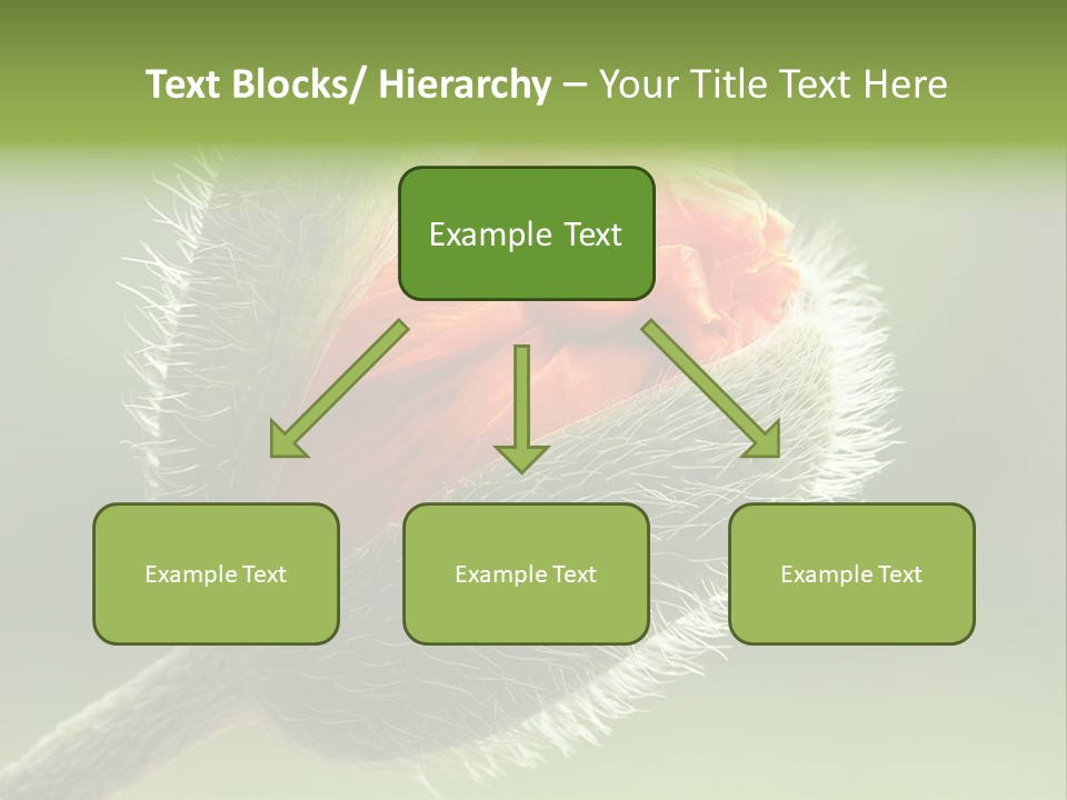 Sunlight Hairy Horticulture PowerPoint Template
