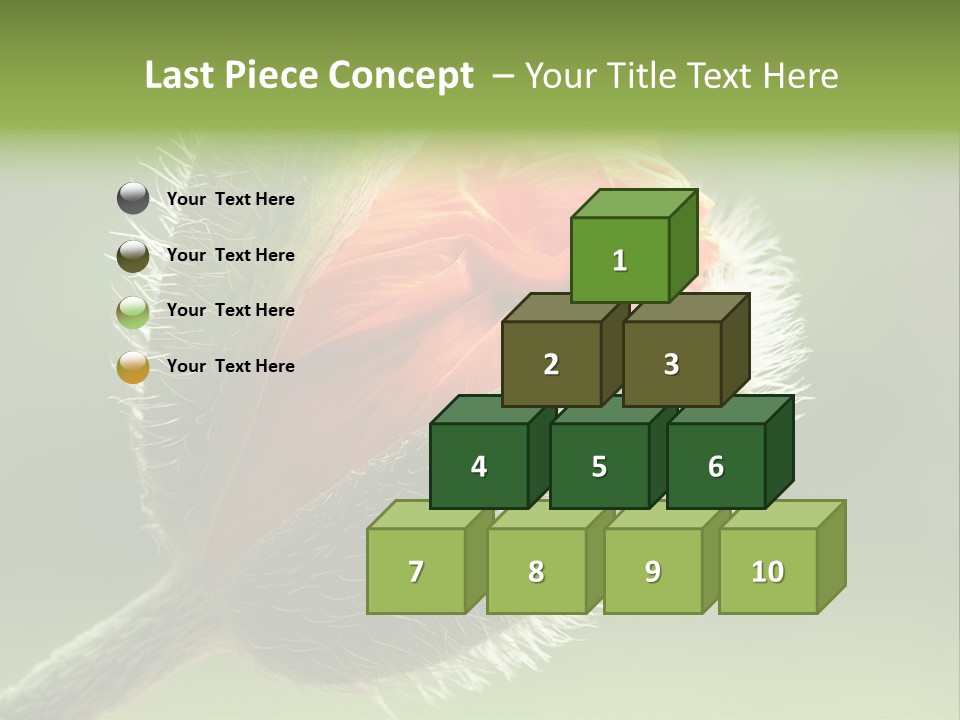 Sunlight Hairy Horticulture PowerPoint Template