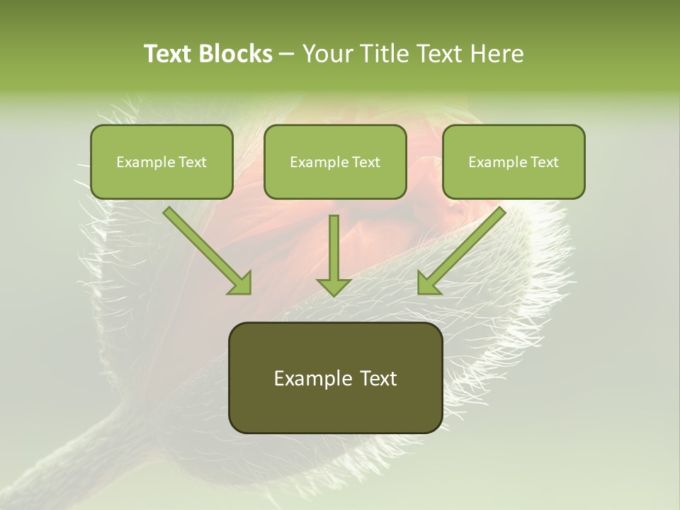 Sunlight Hairy Horticulture PowerPoint Template