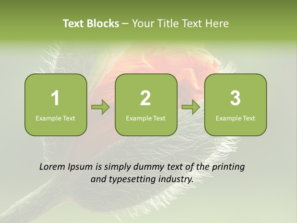 Sunlight Hairy Horticulture PowerPoint Template