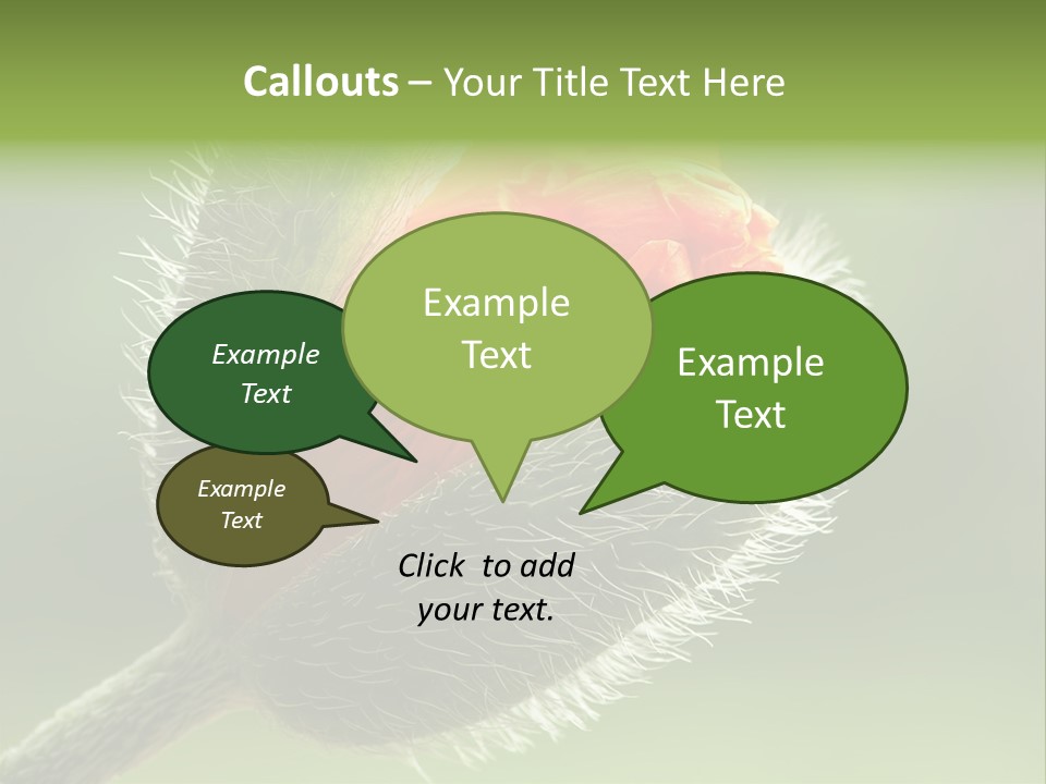 Sunlight Hairy Horticulture PowerPoint Template