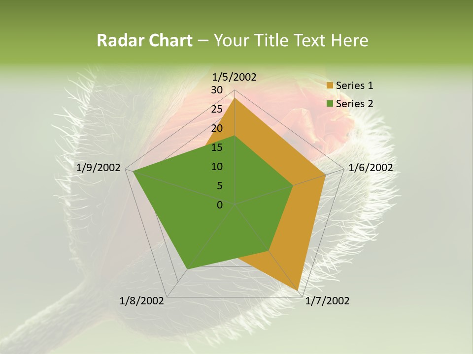 Sunlight Hairy Horticulture PowerPoint Template