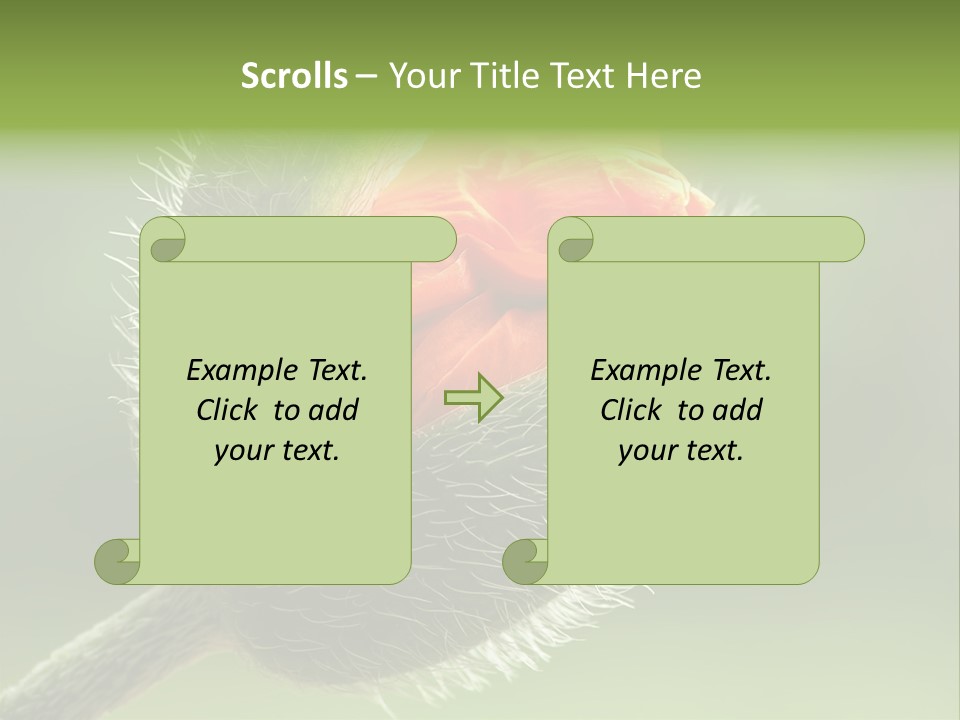 Sunlight Hairy Horticulture PowerPoint Template
