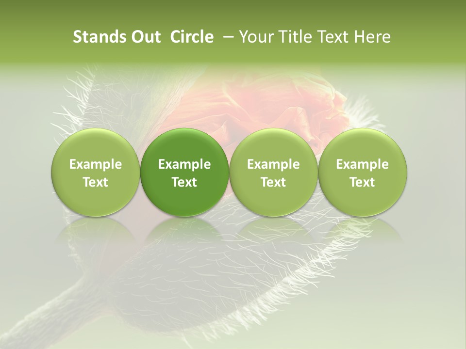 Sunlight Hairy Horticulture PowerPoint Template