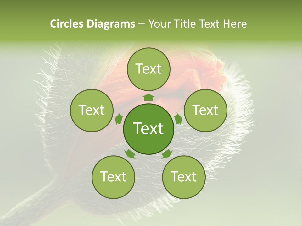 Sunlight Hairy Horticulture PowerPoint Template