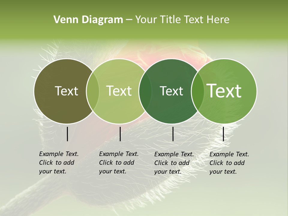 Sunlight Hairy Horticulture PowerPoint Template