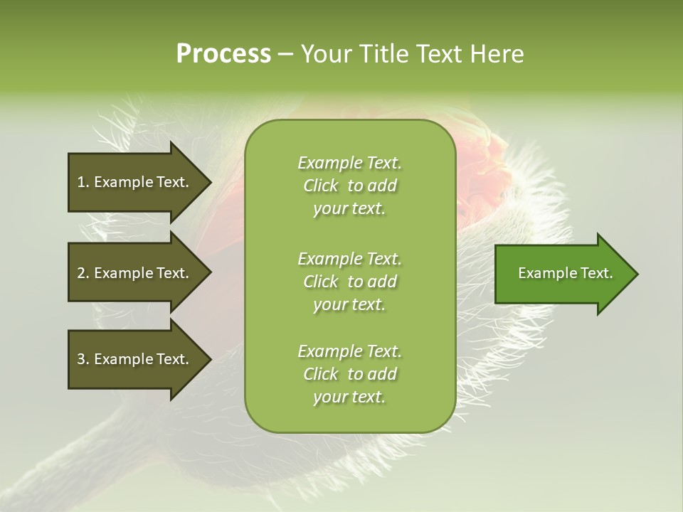 Sunlight Hairy Horticulture PowerPoint Template