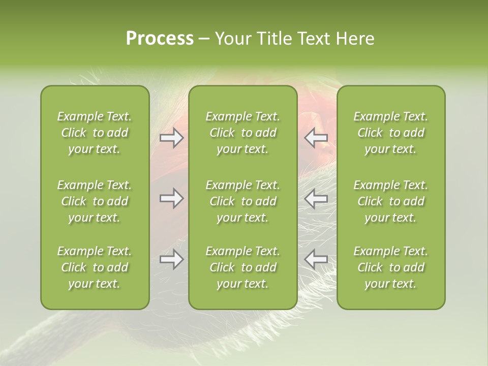 Sunlight Hairy Horticulture PowerPoint Template