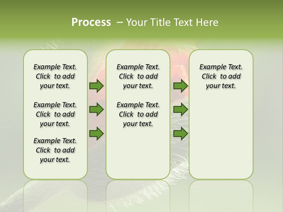 Sunlight Hairy Horticulture PowerPoint Template