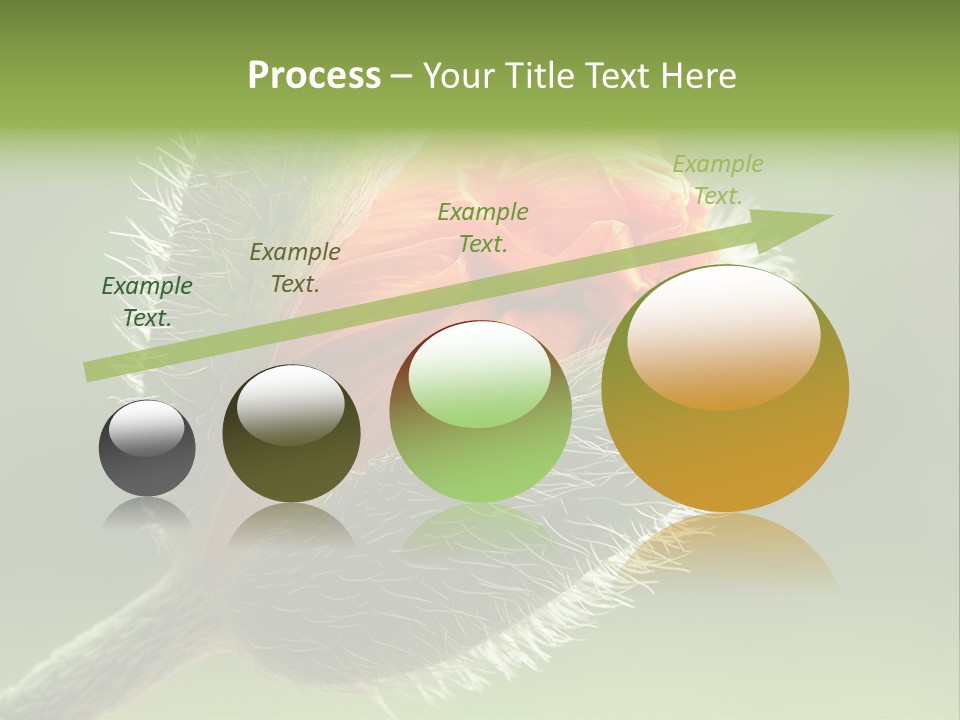 Sunlight Hairy Horticulture PowerPoint Template