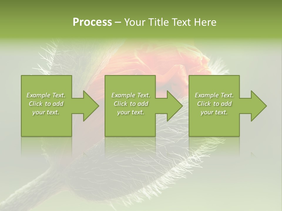 Sunlight Hairy Horticulture PowerPoint Template