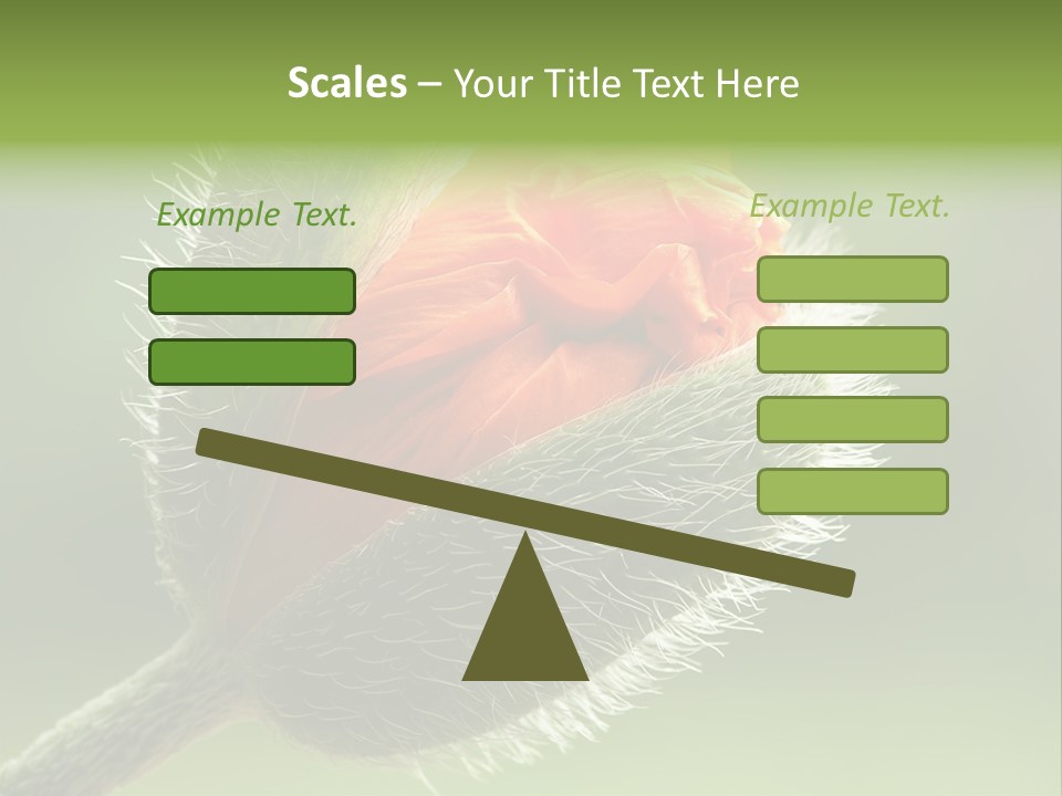 Sunlight Hairy Horticulture PowerPoint Template