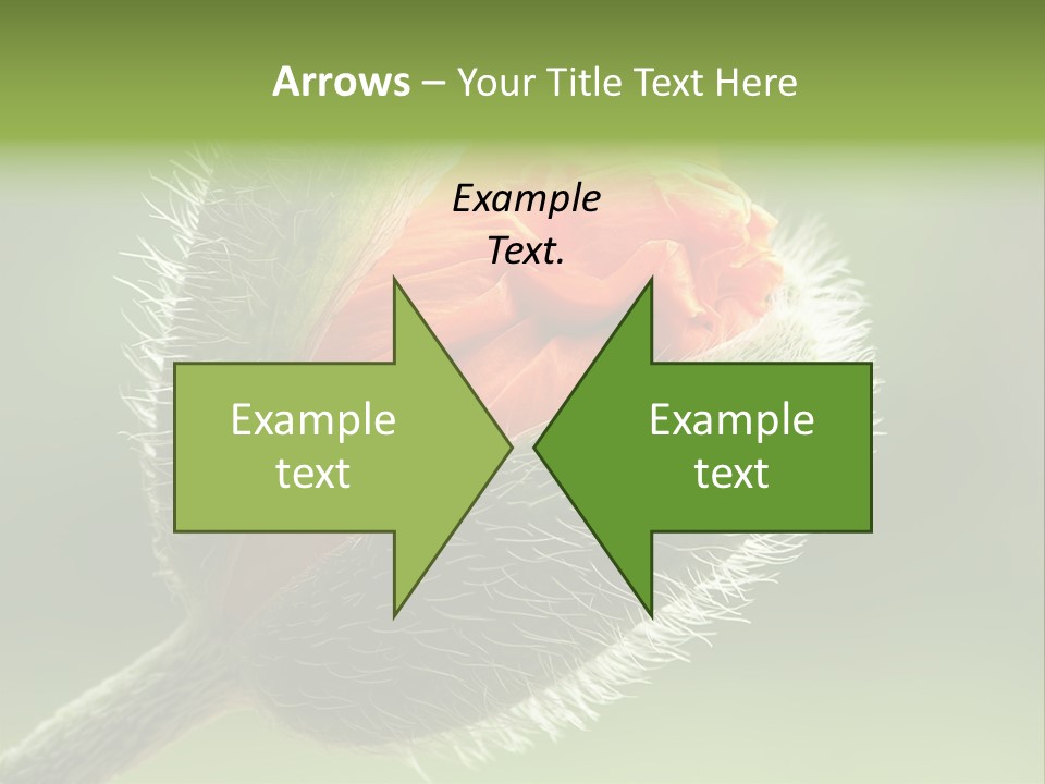 Sunlight Hairy Horticulture PowerPoint Template