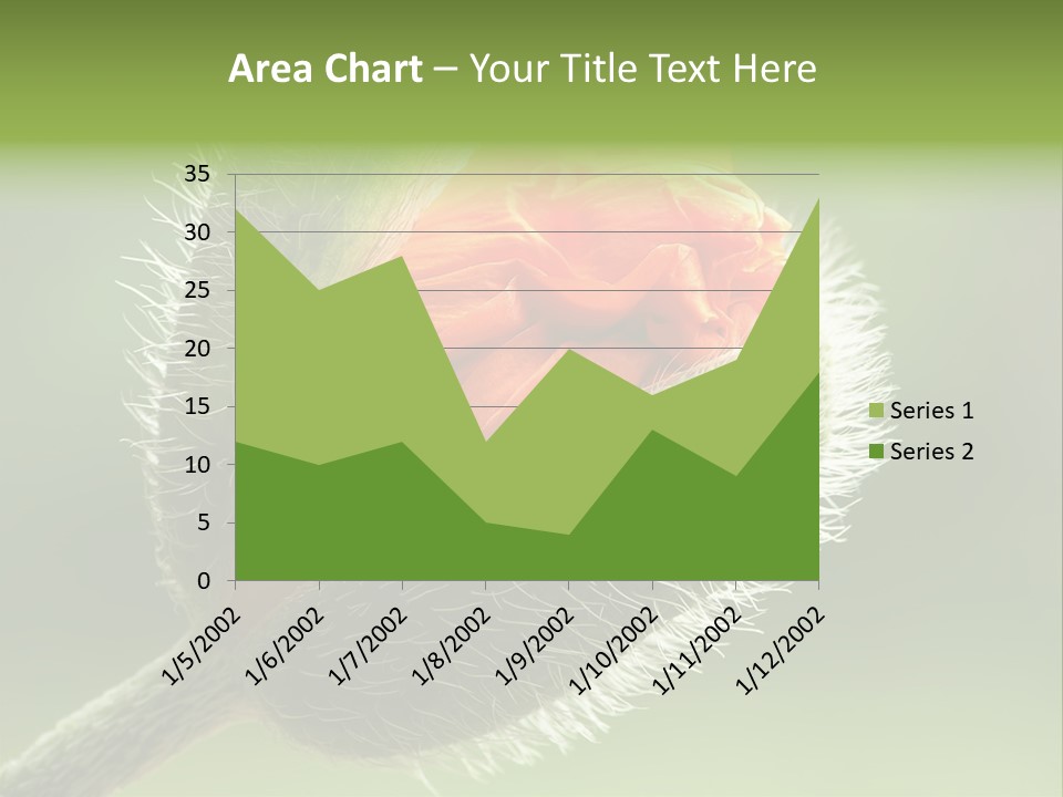 Sunlight Hairy Horticulture PowerPoint Template