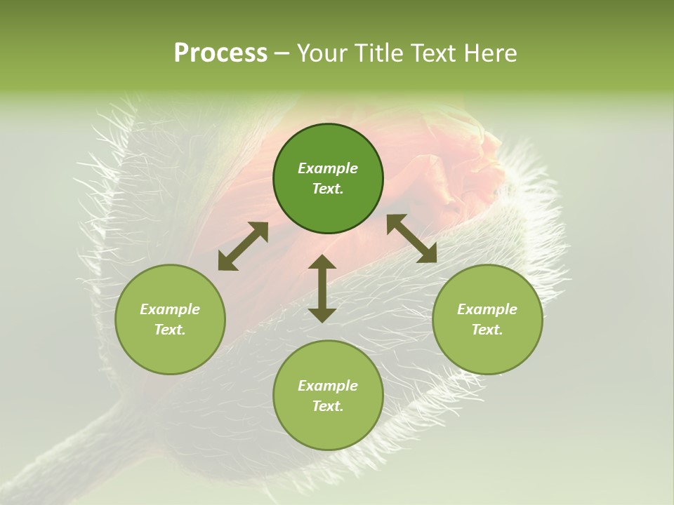 Sunlight Hairy Horticulture PowerPoint Template