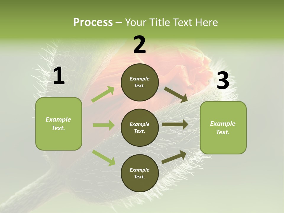 Sunlight Hairy Horticulture PowerPoint Template