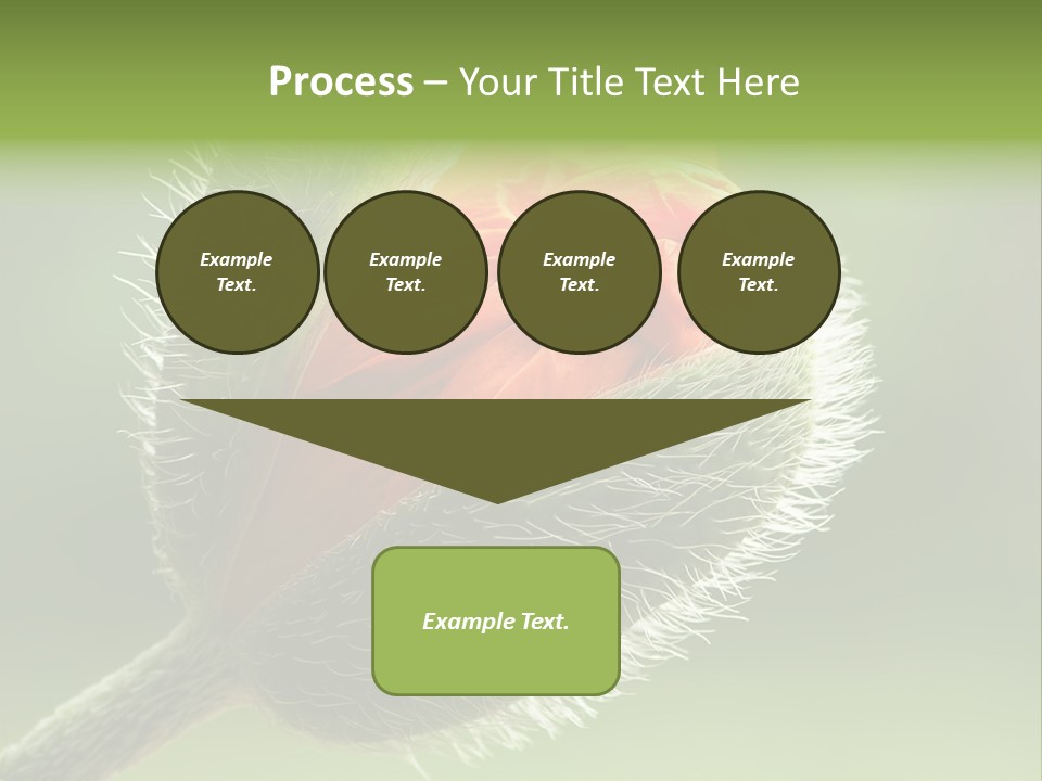 Sunlight Hairy Horticulture PowerPoint Template