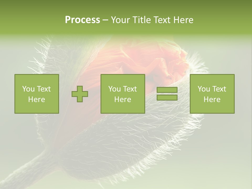 Sunlight Hairy Horticulture PowerPoint Template