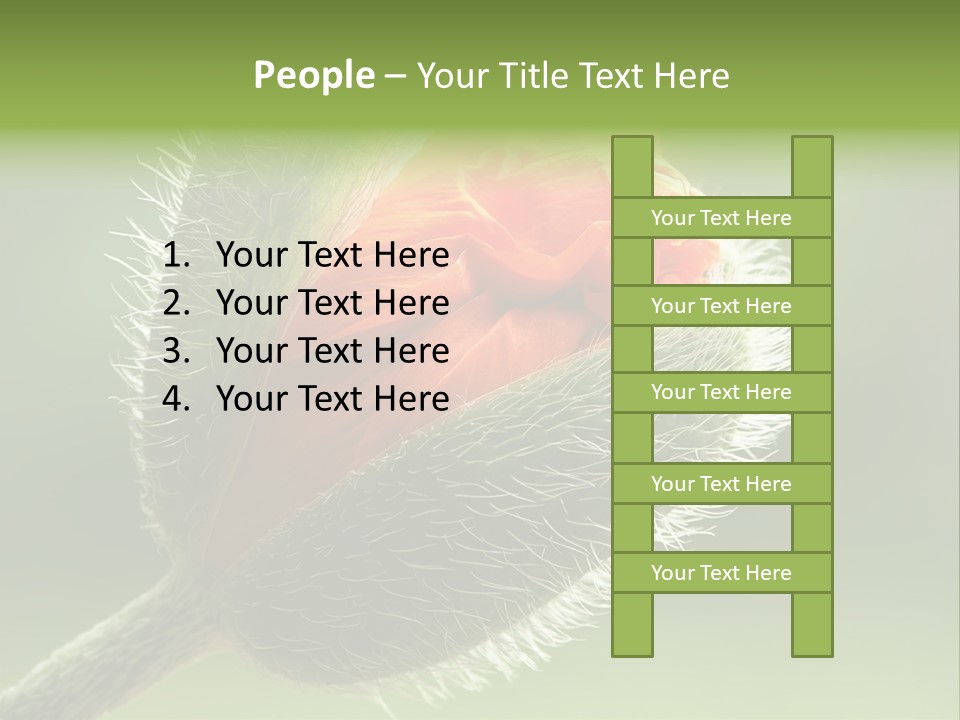 Sunlight Hairy Horticulture PowerPoint Template