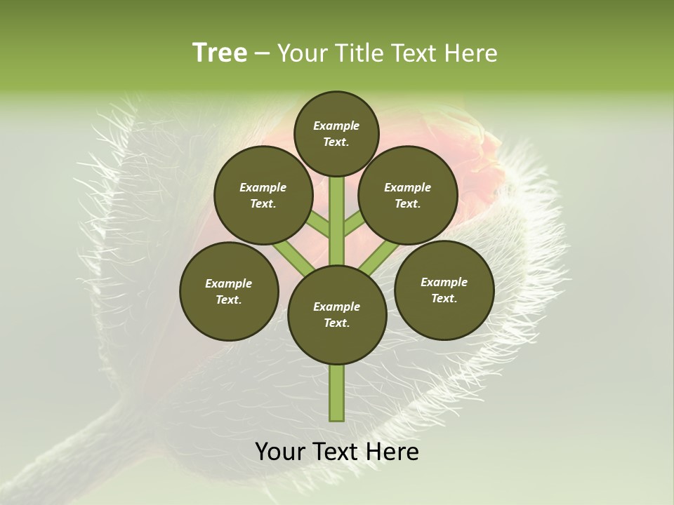 Sunlight Hairy Horticulture PowerPoint Template