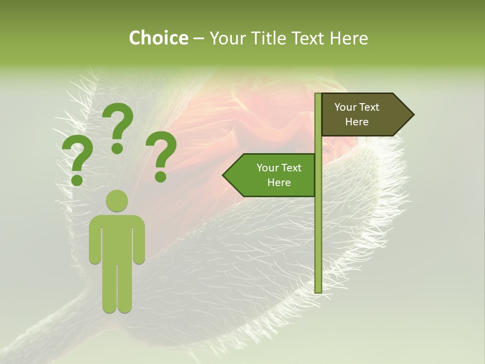 Sunlight Hairy Horticulture PowerPoint Template