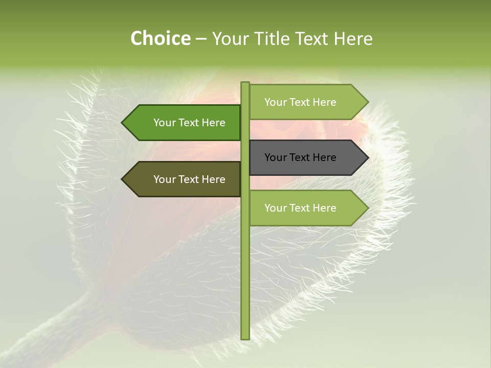 Sunlight Hairy Horticulture PowerPoint Template