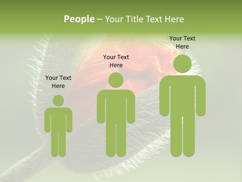 Sunlight Hairy Horticulture PowerPoint Template