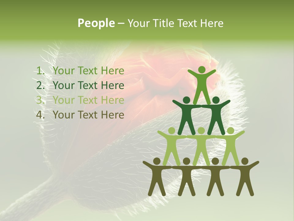 Sunlight Hairy Horticulture PowerPoint Template