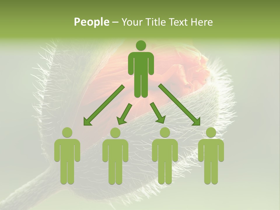 Sunlight Hairy Horticulture PowerPoint Template