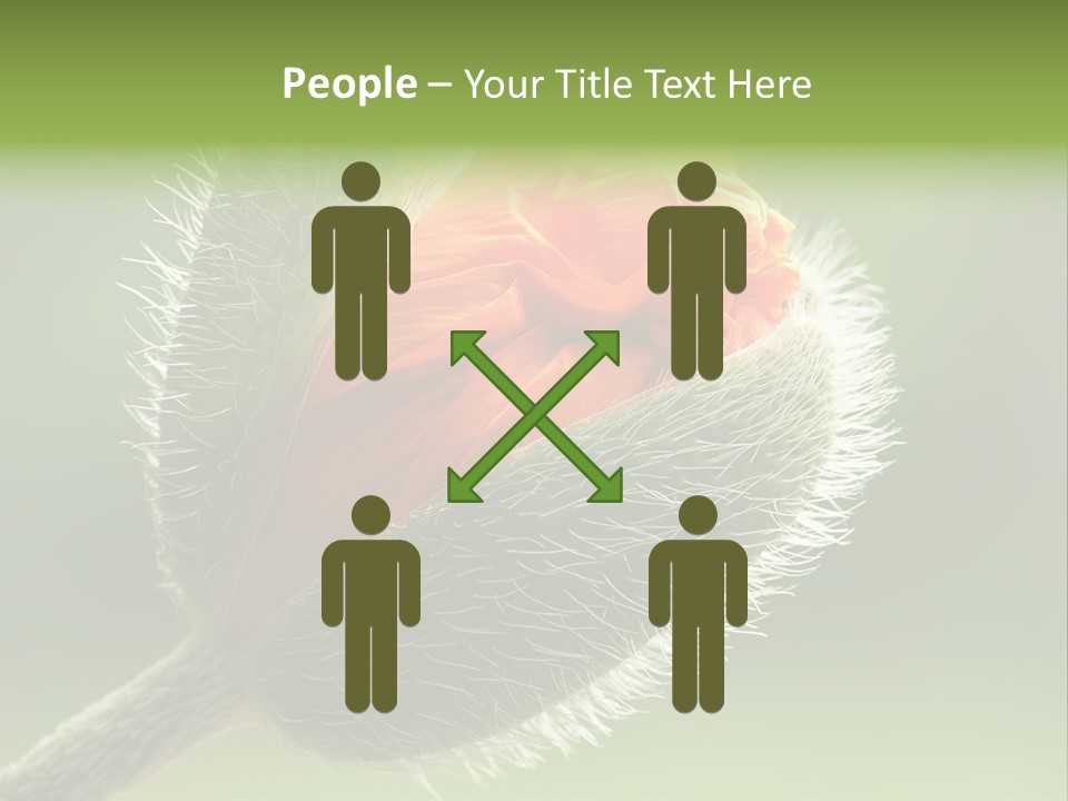 Sunlight Hairy Horticulture PowerPoint Template