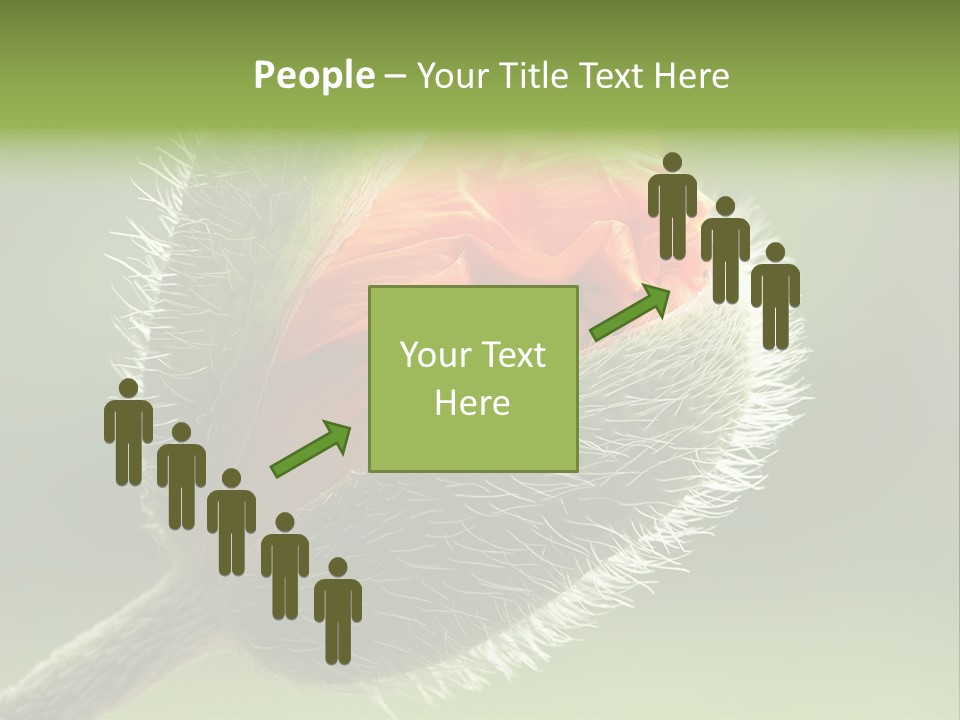 Sunlight Hairy Horticulture PowerPoint Template