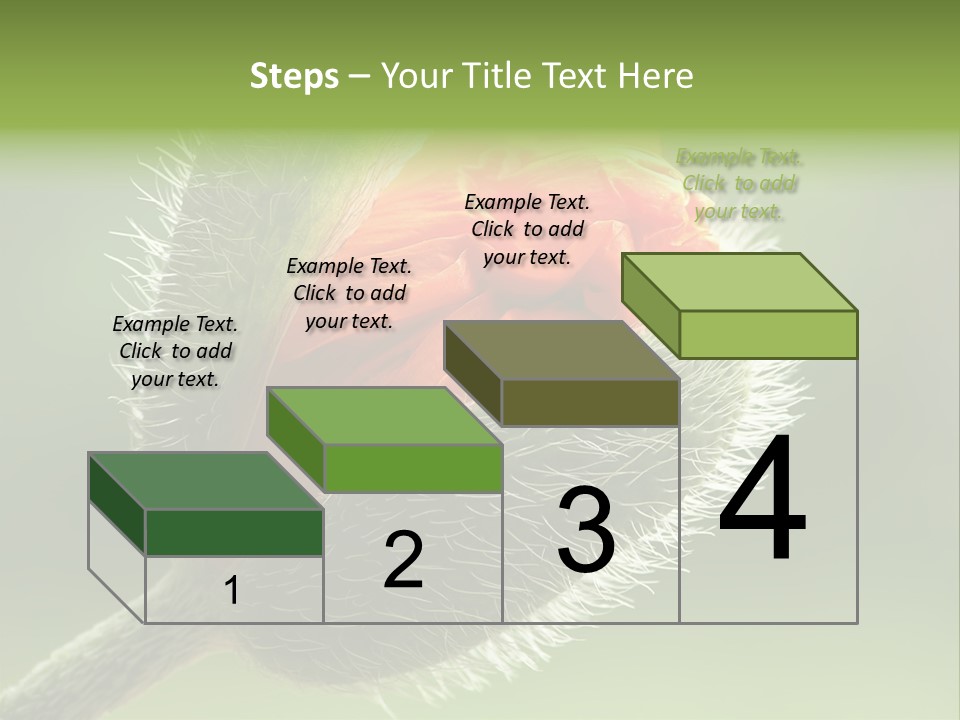 Sunlight Hairy Horticulture PowerPoint Template