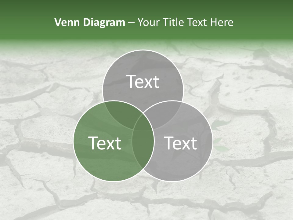 Grooved Abstract Life PowerPoint Template