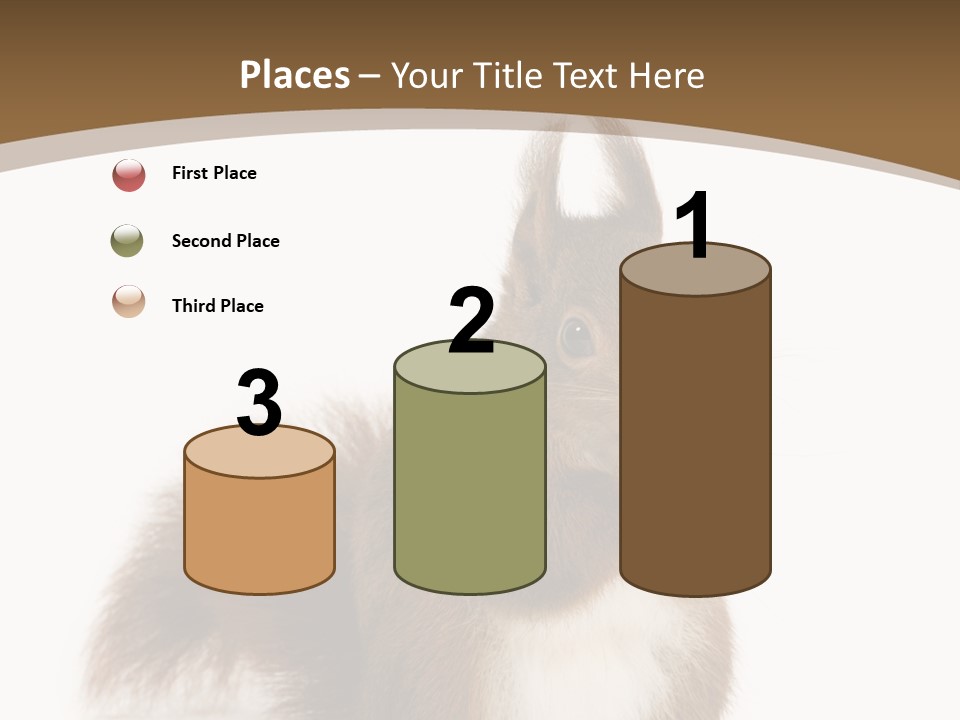 Isolated Brown Eurasian Red Squirrel PowerPoint Template