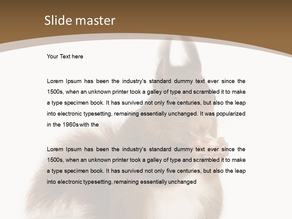 Isolated Brown Eurasian Red Squirrel PowerPoint Template