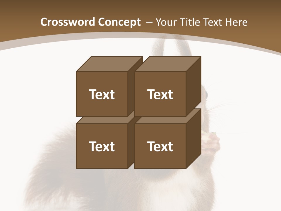 Isolated Brown Eurasian Red Squirrel PowerPoint Template