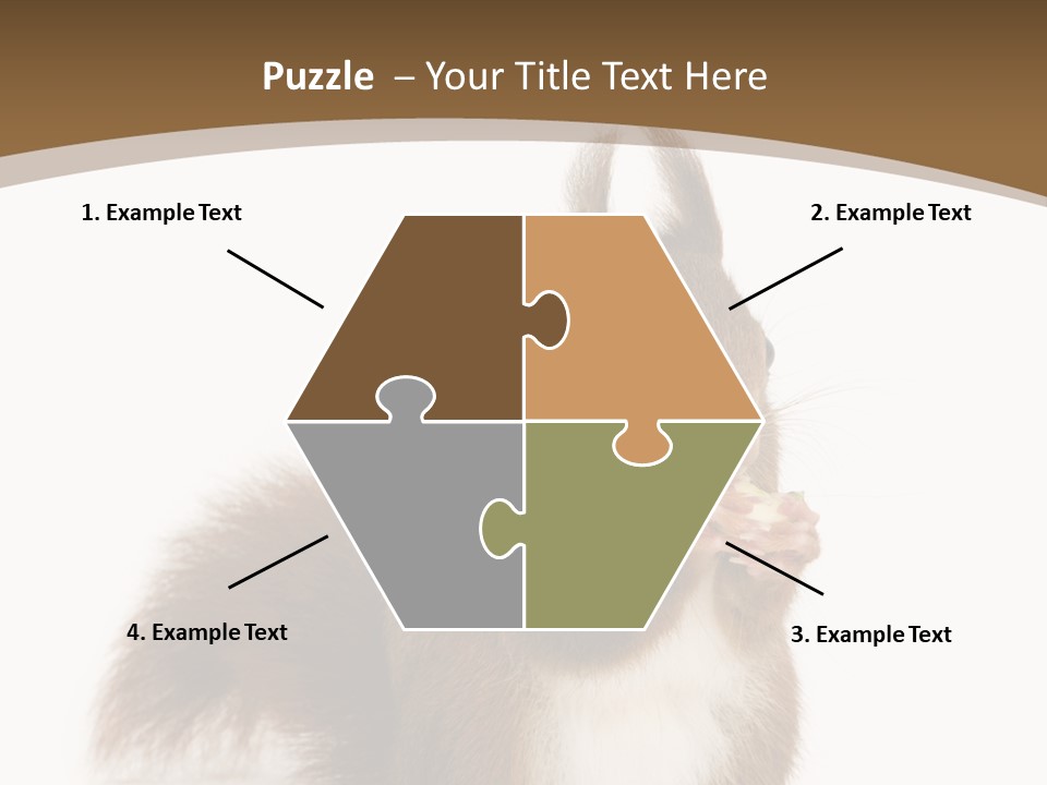 Isolated Brown Eurasian Red Squirrel PowerPoint Template