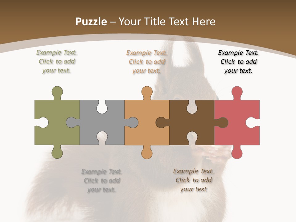 Isolated Brown Eurasian Red Squirrel PowerPoint Template