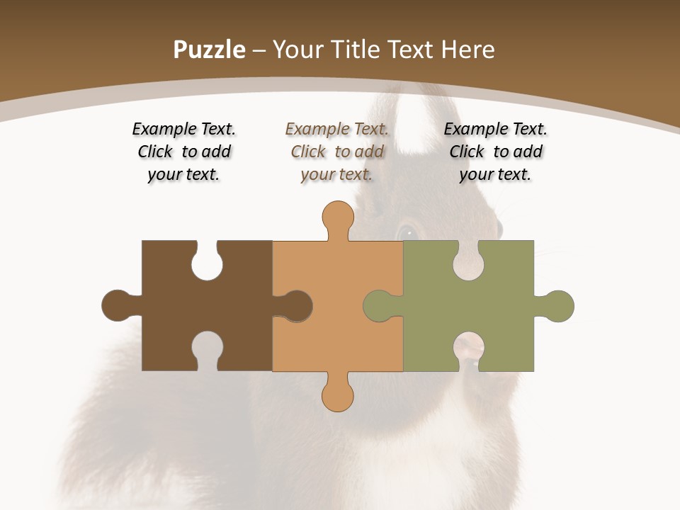 Isolated Brown Eurasian Red Squirrel PowerPoint Template