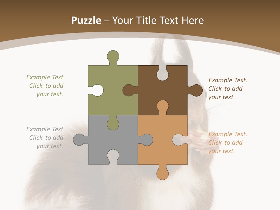 Isolated Brown Eurasian Red Squirrel PowerPoint Template